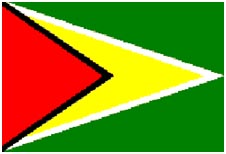 BG Flag