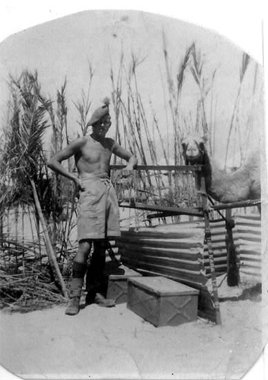 Harry Gudgeon, the camel is the D Coy mascot and is called Humphrey