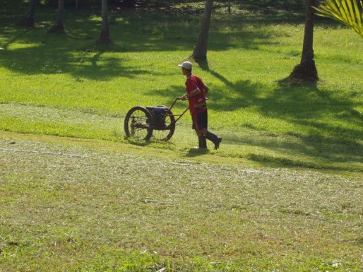 Grounds of the Dusit Inya Lake Hotel, Rangoon
