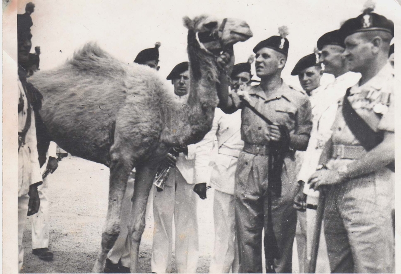 Aqaba Humphrey D Coy's Camel. Extreme right CSM Jock Eagleson.