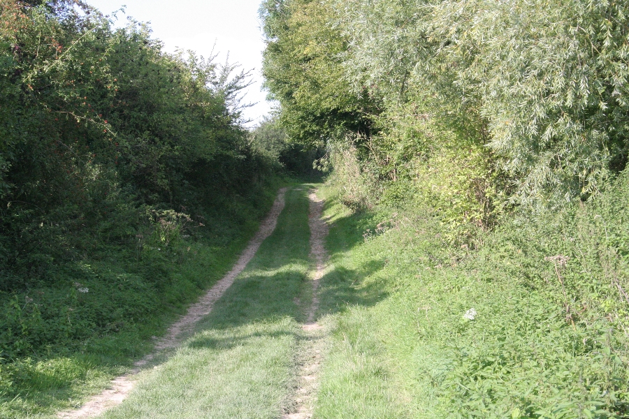 Images/sIMG_0150.jpg