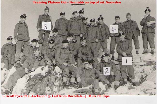trainingplt66